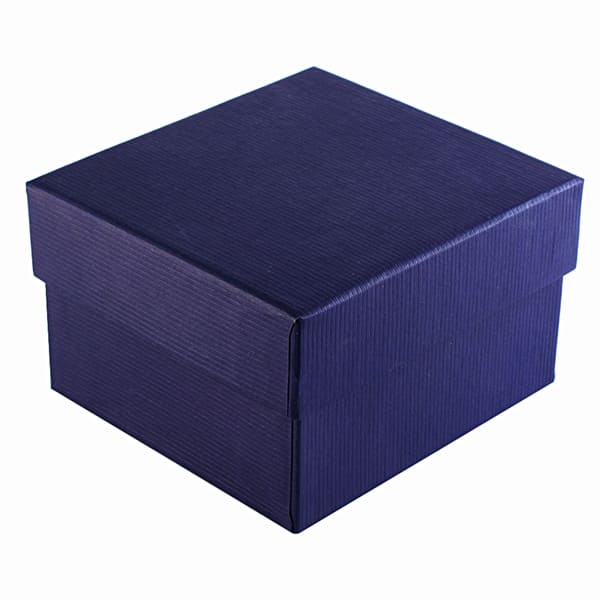 Estuche liso - azul