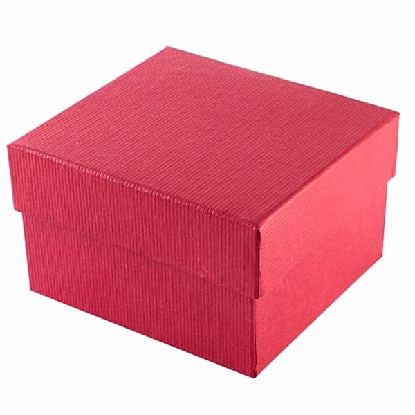 Estuche liso - rojo